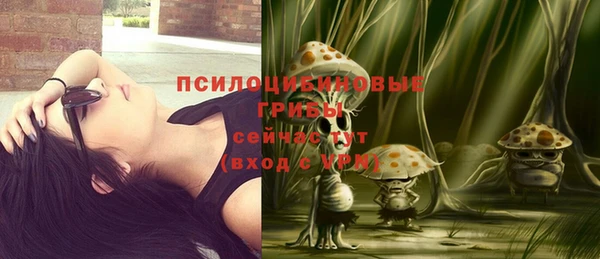 стафф Пересвет