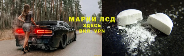 стафф Пересвет