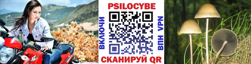 Галлюциногенные грибы прущие грибы  Азов 
