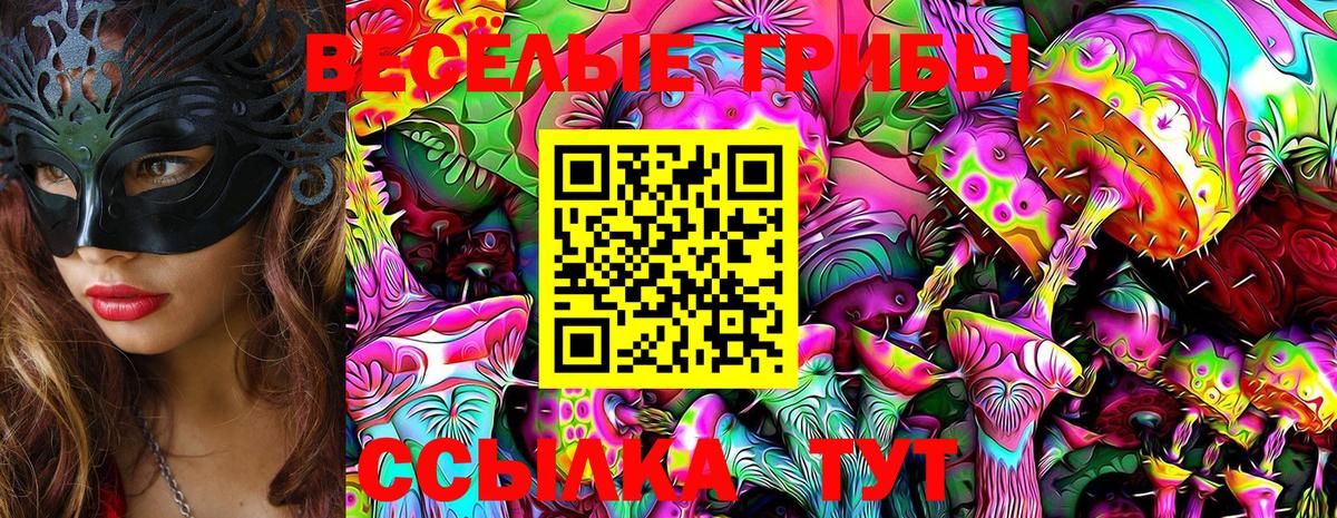 Галлюциногенные грибы мицелий  Азов 