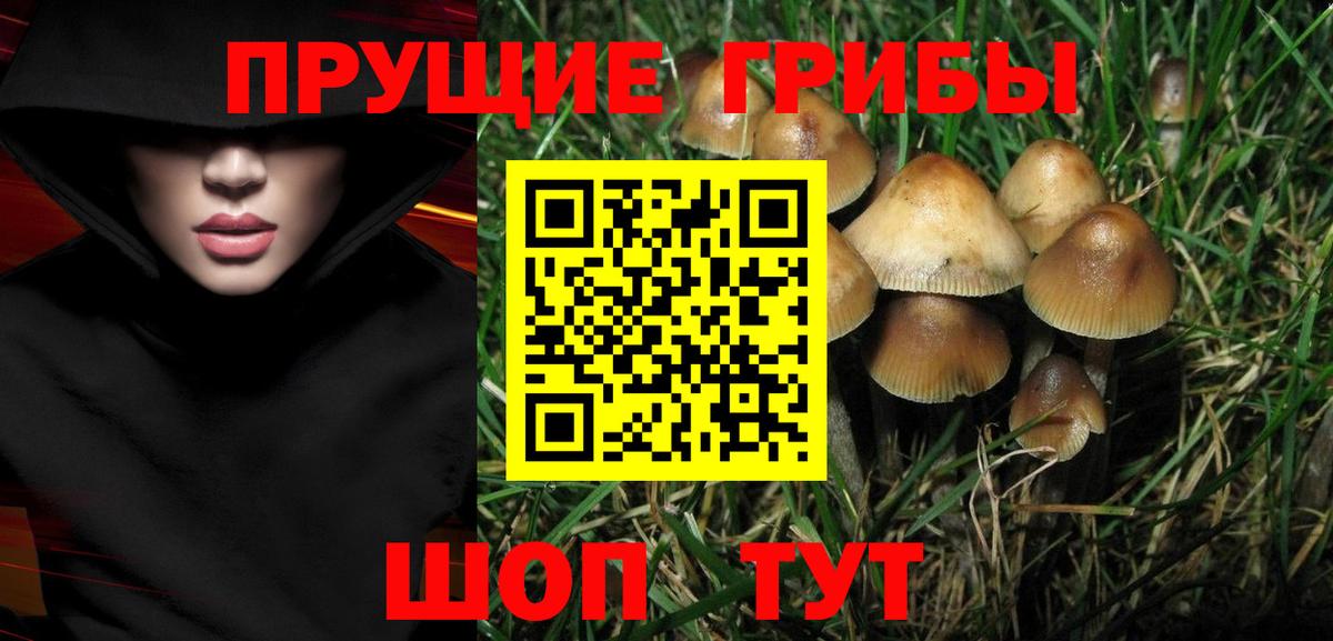 Галлюциногенные грибы GOLDEN TEACHER  Вход с VPN  Азов 